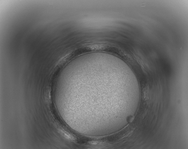 X0000068300733200604281709