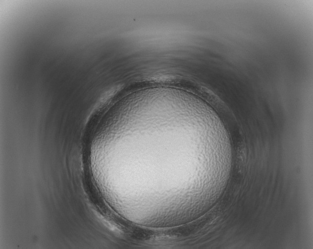 X0000068300734200604281709