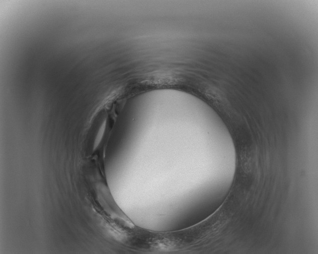 X0000068300735200604281709