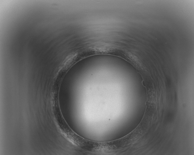 X0000068300738200604281709