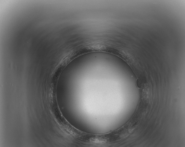 X0000068300739200604281709