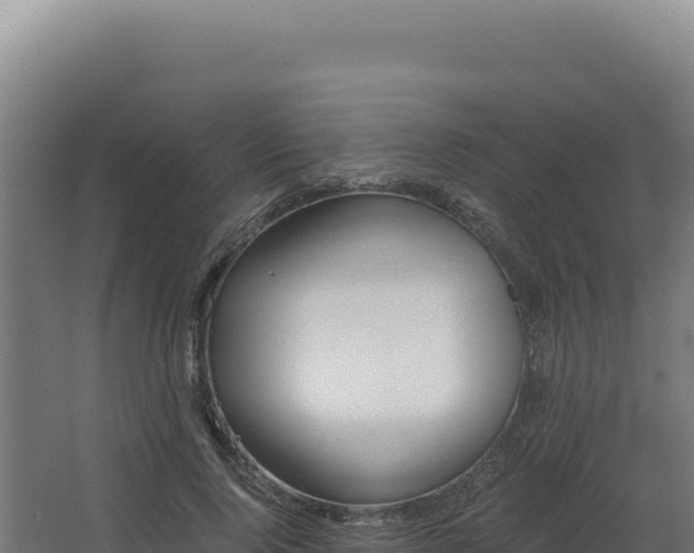 X0000068300740200604281709