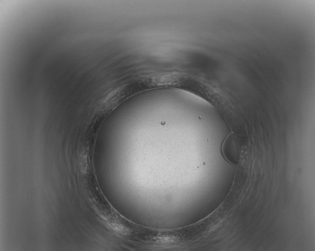 X0000068300741200604281709