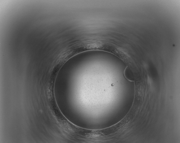 X0000068300743200604281709