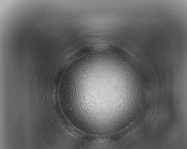 X0000068300745200604281709