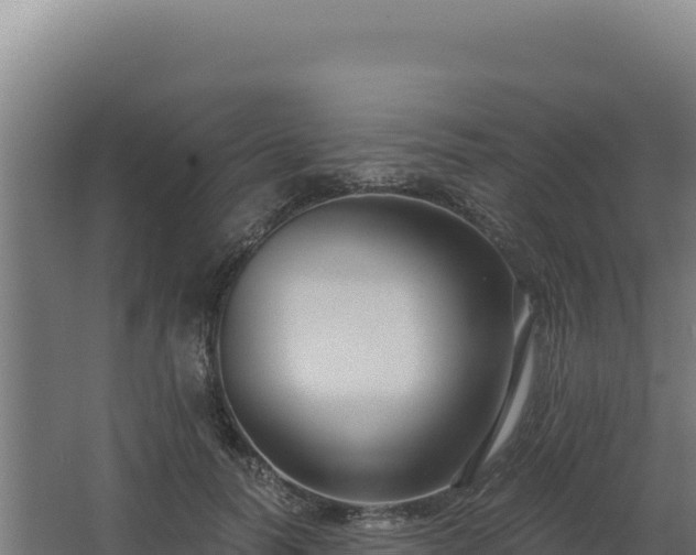 X0000068300746200604281709