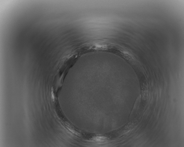 X0000068300748200604281709