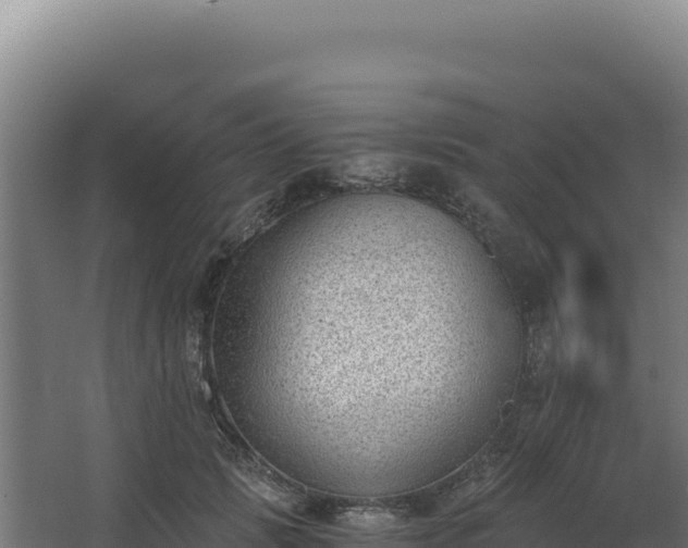 X0000068300749200604281709