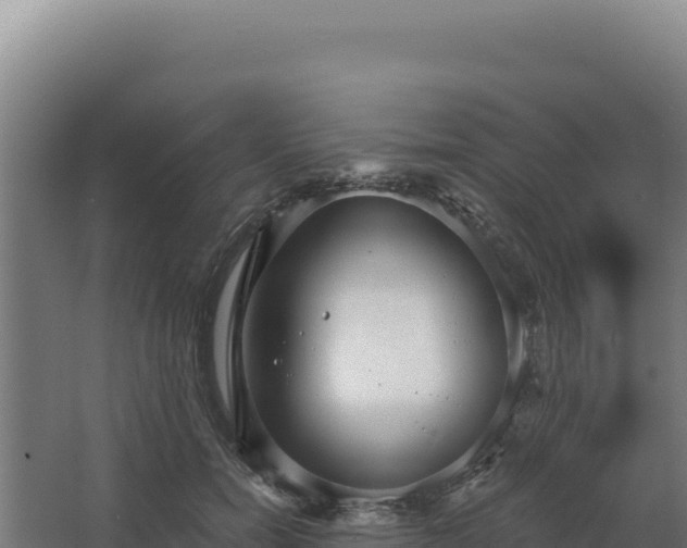 X0000068300750200604281709