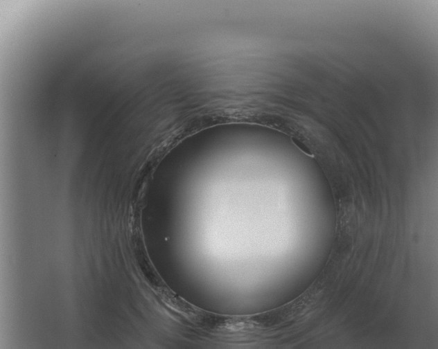 X0000068300752200604281709