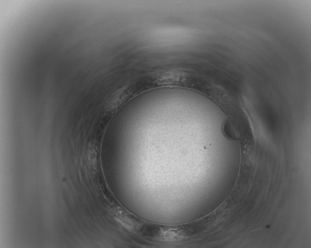 X0000068300753200604281709