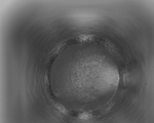 X0000068300754200604281709