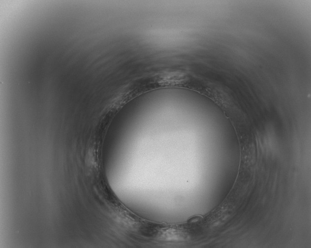 X0000068300755200604281709