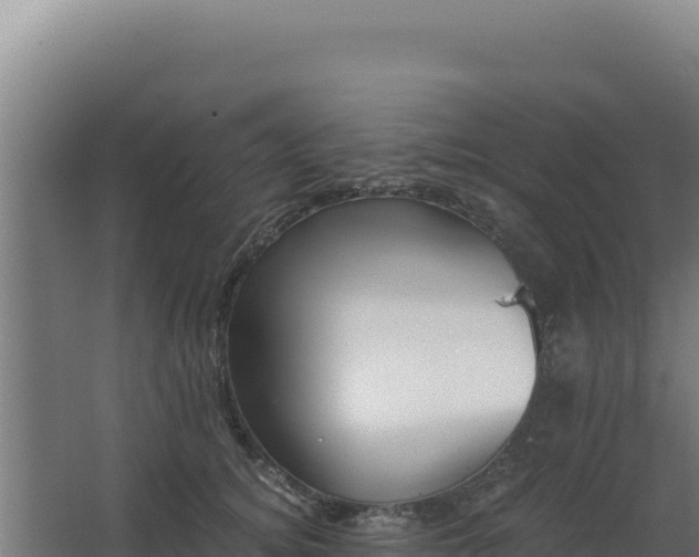 X0000068300756200604281709