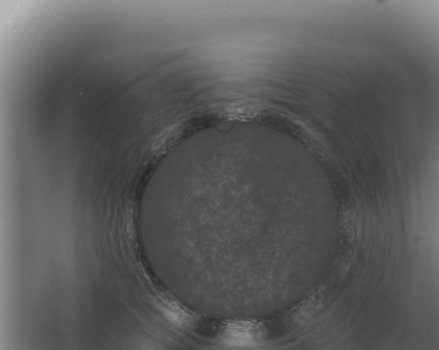 X0000068300757200604281709