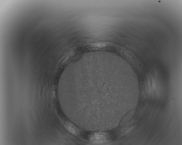 X0000068300758200604281709