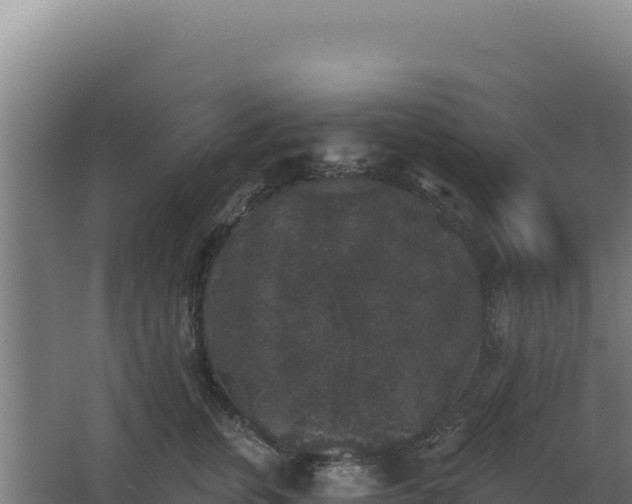 X0000068300759200604281709