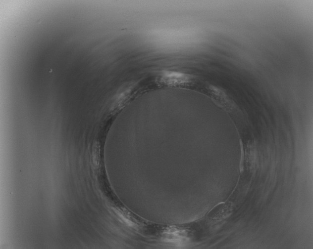 X0000068300760200604281709