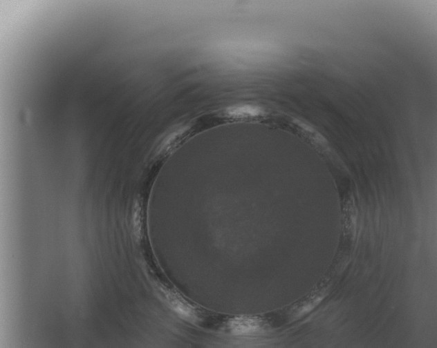 X0000068300762200604281709