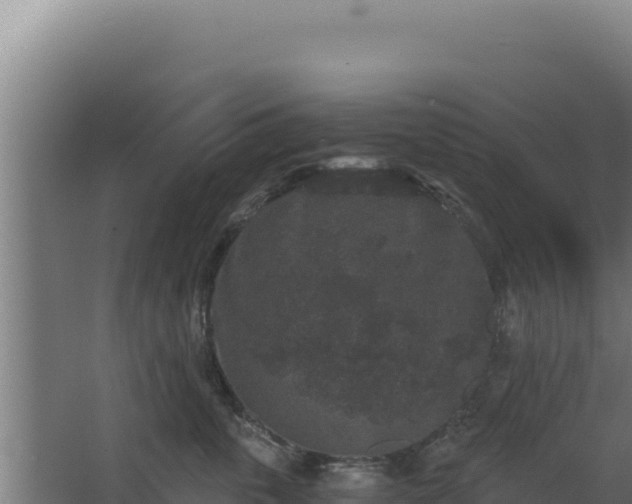 X0000068300763200604281709