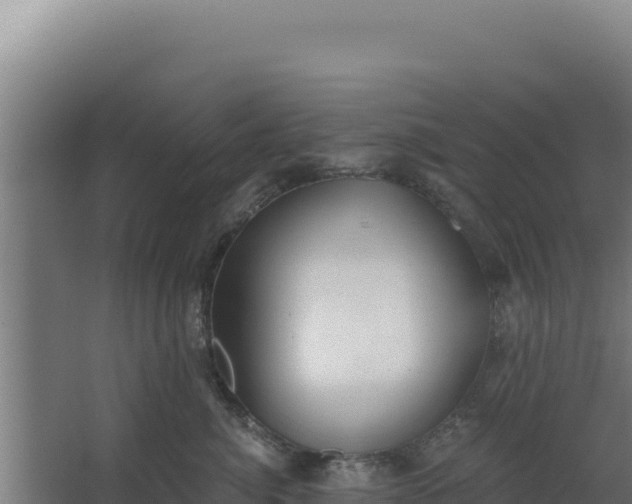 X0000068300764200604281709