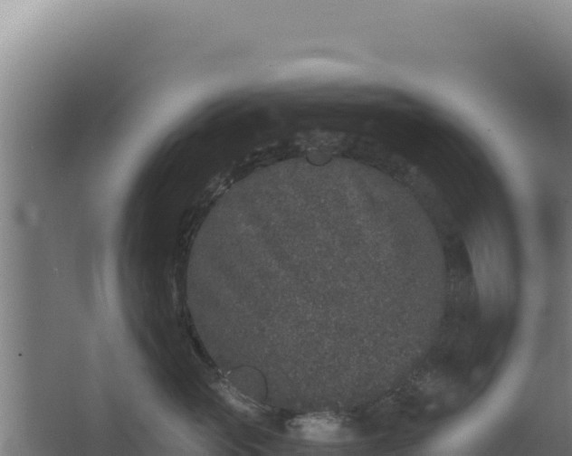 X0000068300765200604281709