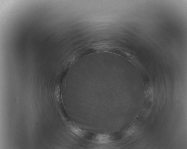 X0000068300767200604281709