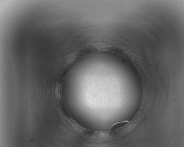 X0000068300768200604281709