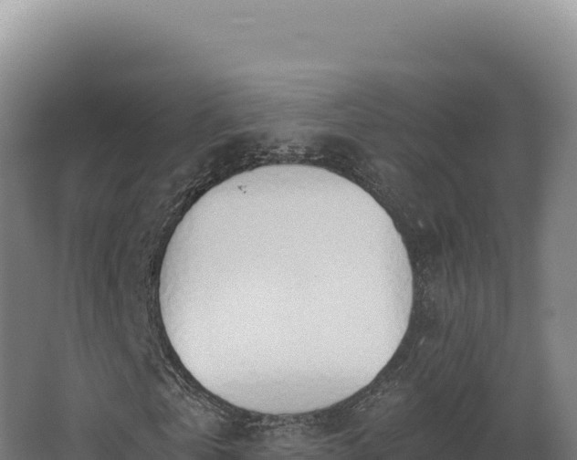 X0000068300769200604281708