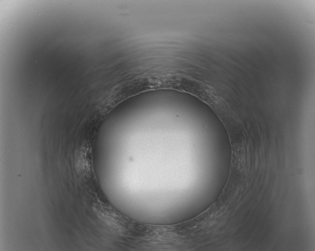 X0000068300770200604281708