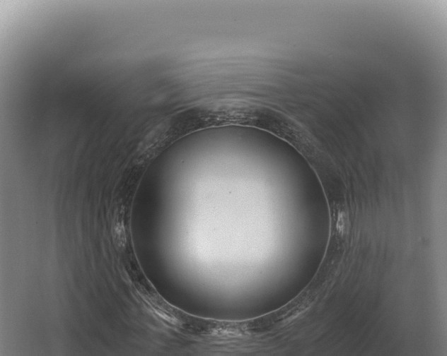 X0000068300771200604281708