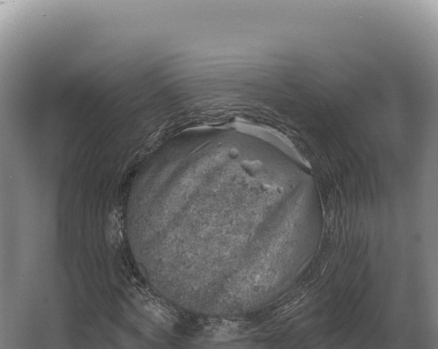 X0000068300772200604281708