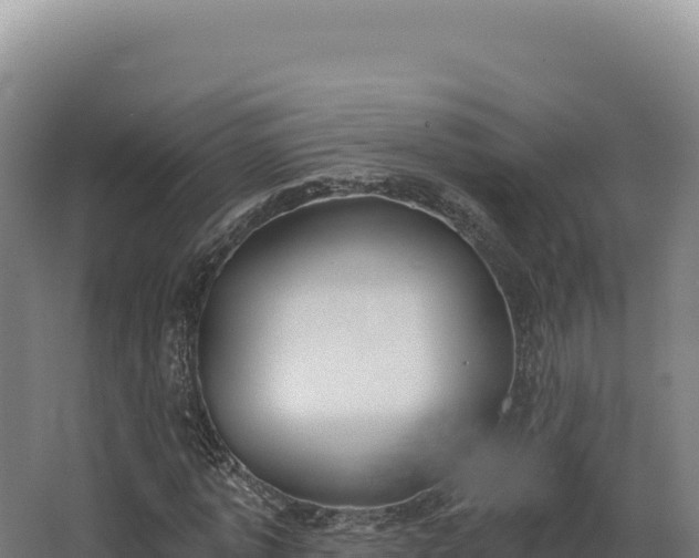 X0000068300773200604281708