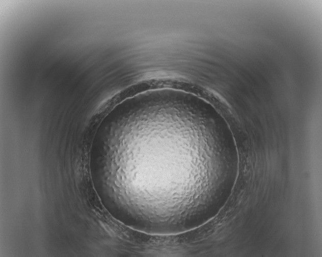 X0000068300775200604281708