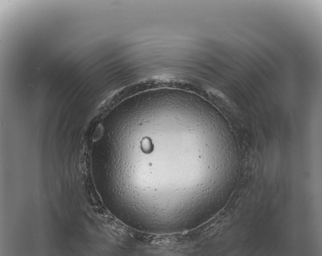 X0000068300776200604281708