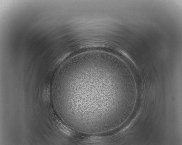 X0000068300777200604281708