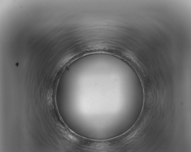 X0000068300778200604281708