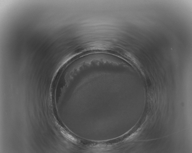 X0000068300779200604281708