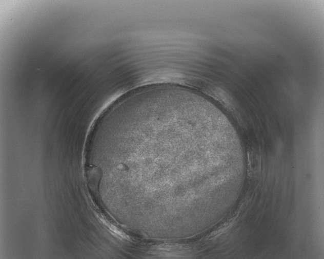 X0000068300780200604281708