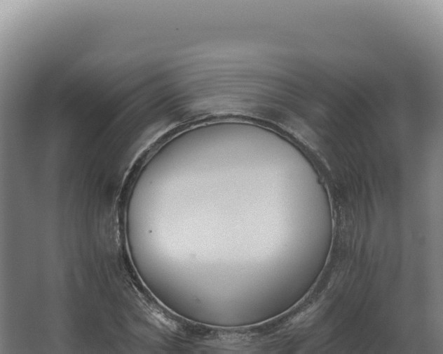 X0000068300782200604281708