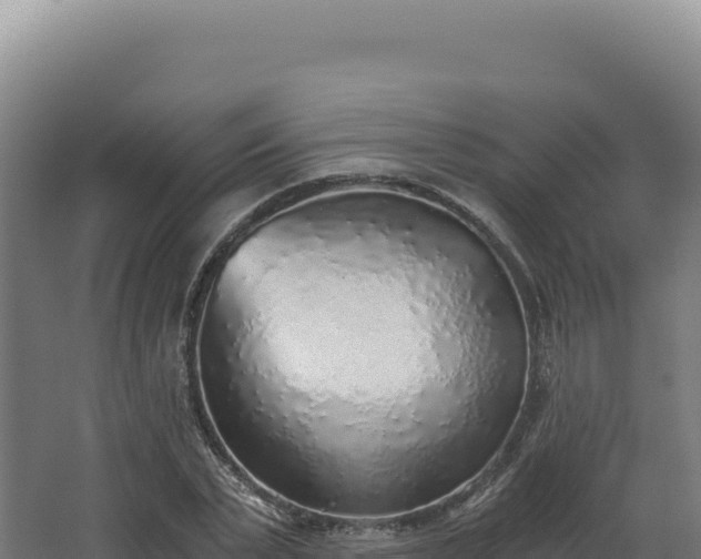 X0000068300783200604281708