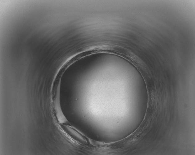 X0000068300784200604281708