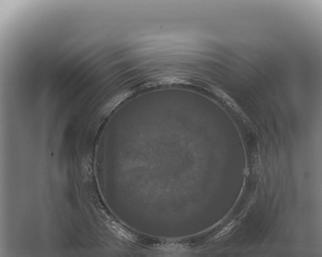 X0000068300785200604281708