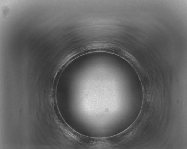 X0000068300786200604281708