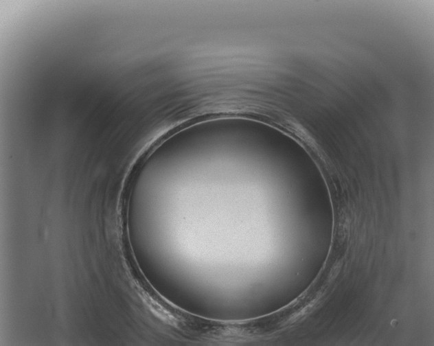 X0000068300787200604281708