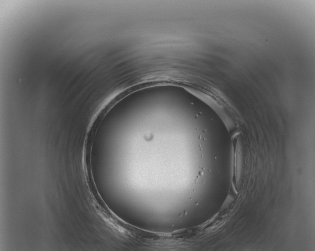 X0000068300788200604281708