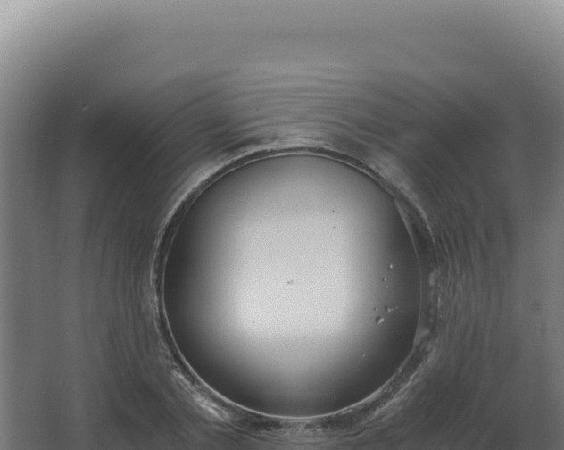 X0000068300789200604281708