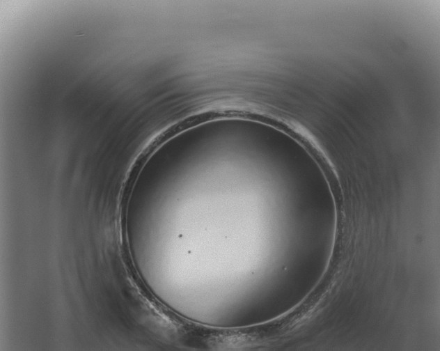 X0000068300791200604281708