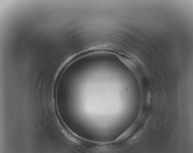 X0000068300792200604281708