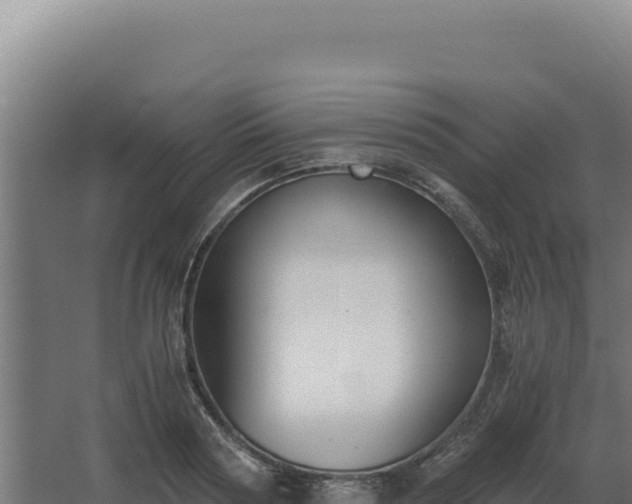 X0000068300794200604281708